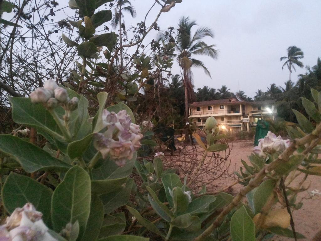 Ivon Guest House, Arambol Beach Экстерьер фото