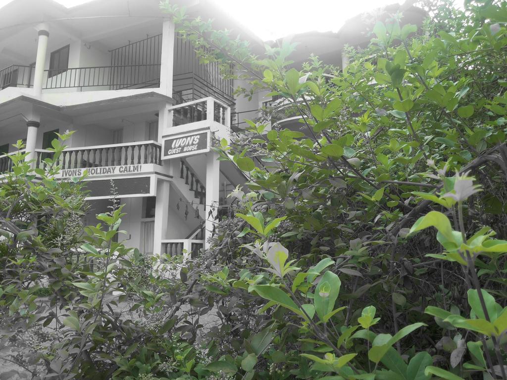 Ivon Guest House, Arambol Beach Экстерьер фото