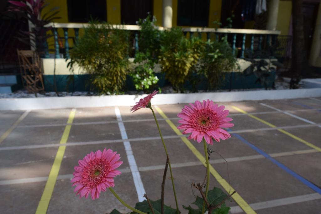 Ivon Guest House, Arambol Beach Экстерьер фото